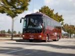 MAN &rsquo;Coach L 2009 года